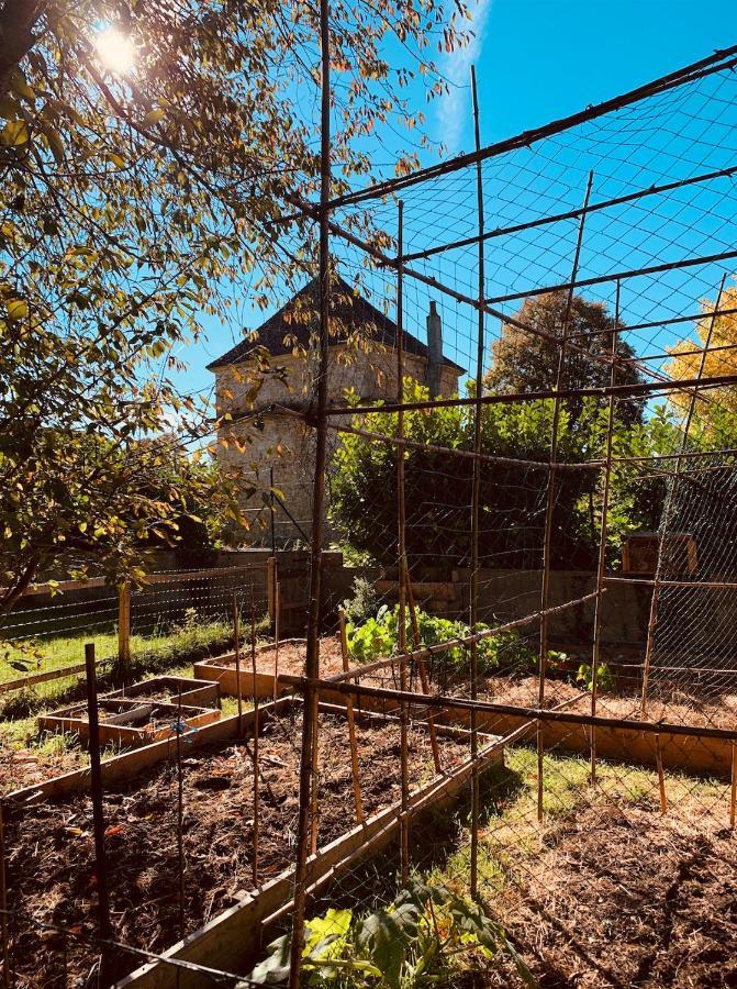 Pool House-L'Hirondelle De Sermizelles- Grand Jardin, Calme Et Nature Aux Portes Du Morvan Esterno foto