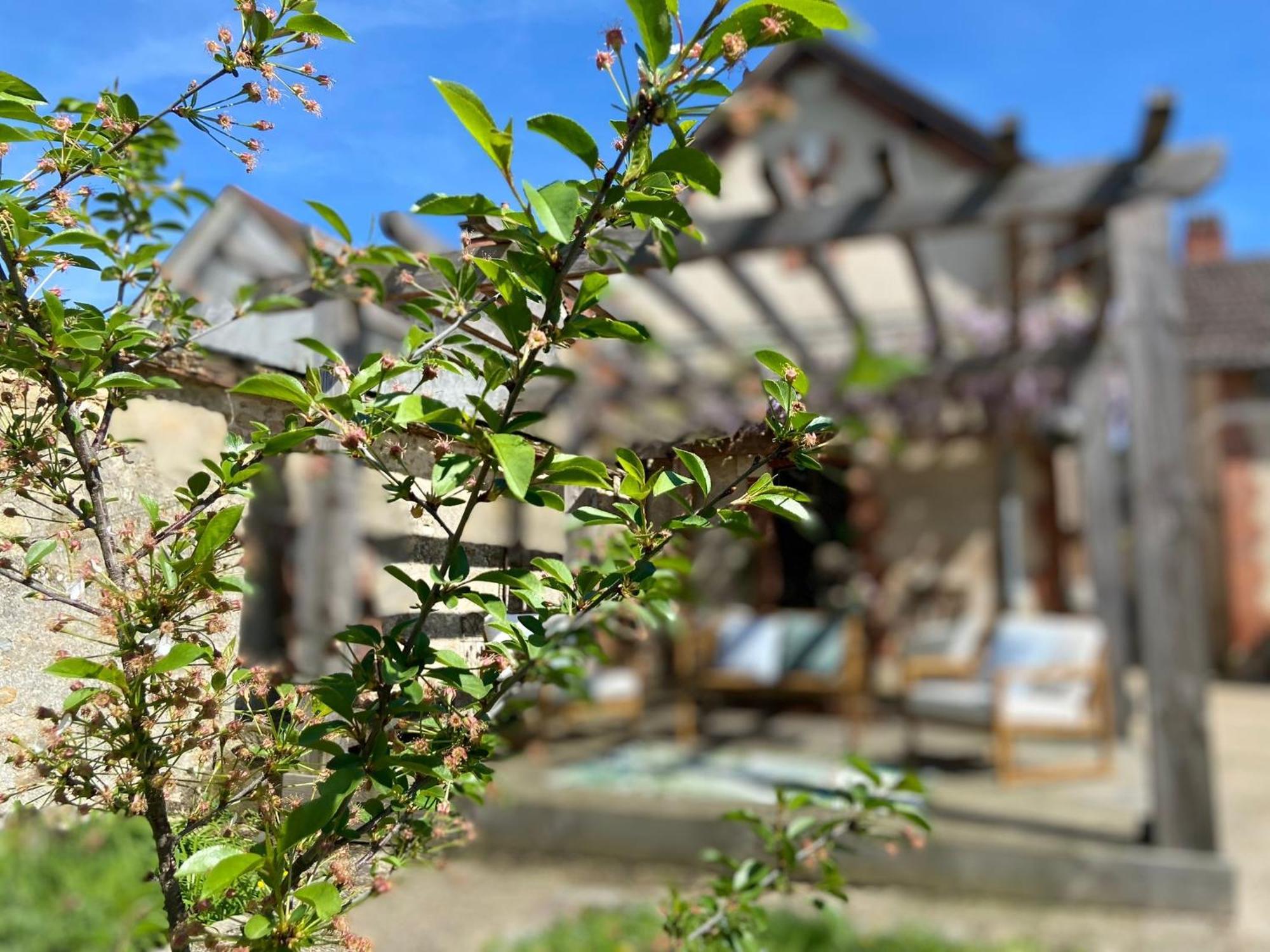 Pool House-L'Hirondelle De Sermizelles- Grand Jardin, Calme Et Nature Aux Portes Du Morvan Esterno foto